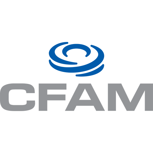 Logo design example - CFAM