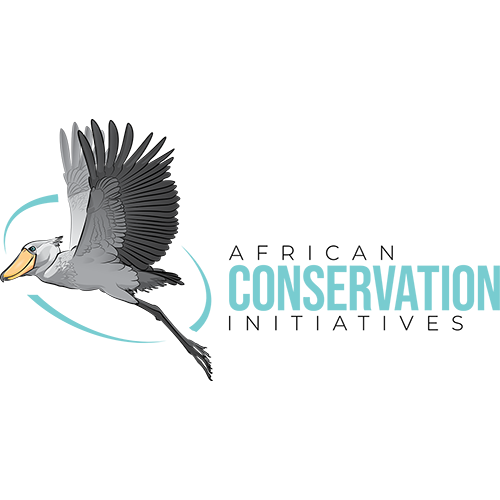 Logo design example - African Conservation Initiatives
