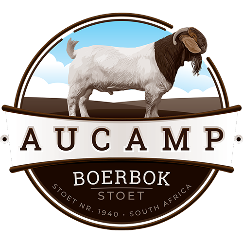 Logo design example - Aucamp Boerbok Stoet