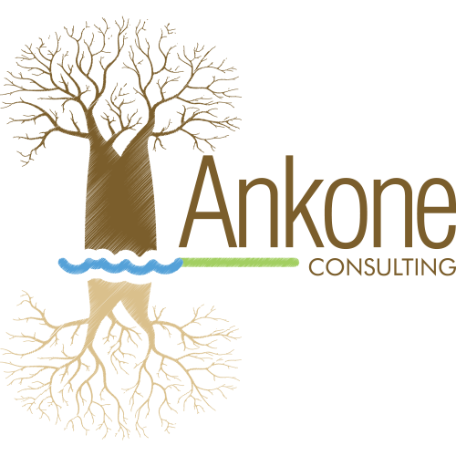 Logo design example - Ankone Consulting