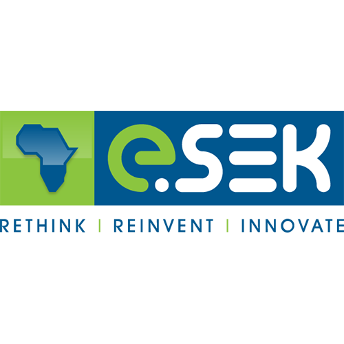 Logo design example - eSEK