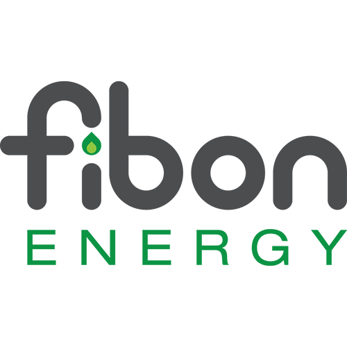 Logo design example - Fibon Energy